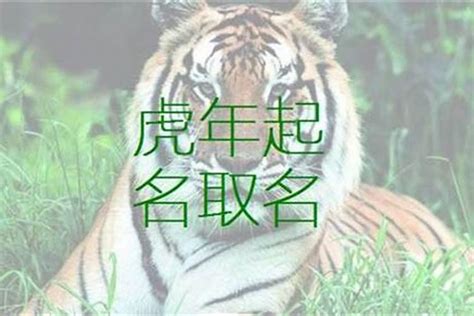 10劃的字屬虎|屬虎起名宜忌，屬虎取名禁忌，屬虎人取名字庫